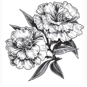 Meet your Posher, Lizeth